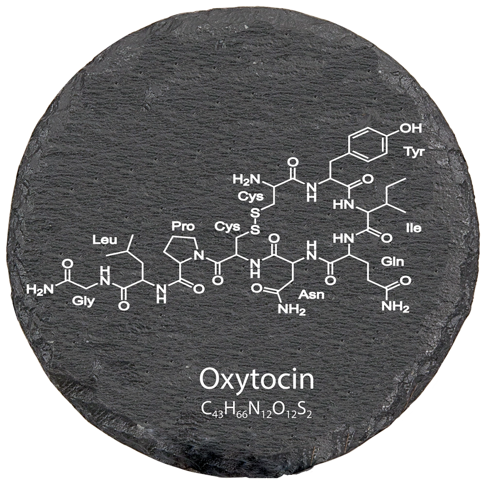 Round slate coaster set oxytocin