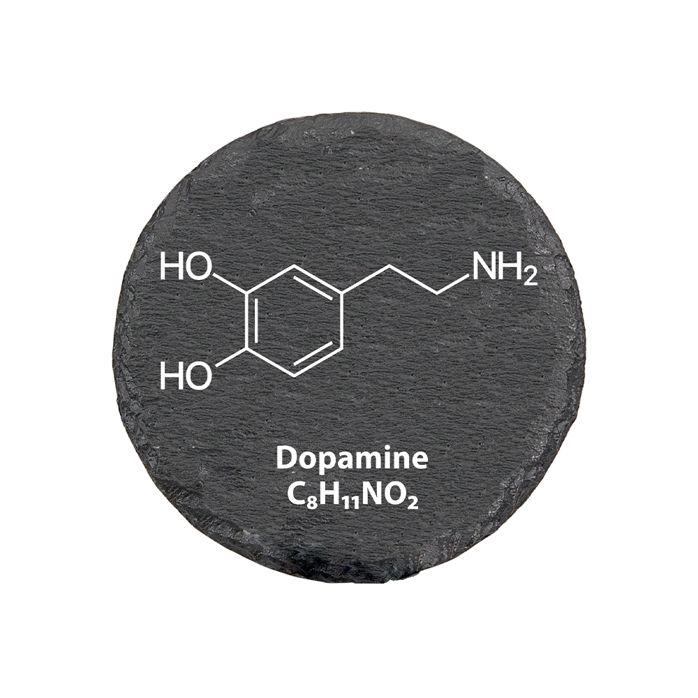 Round slate coaster set dopamine structure