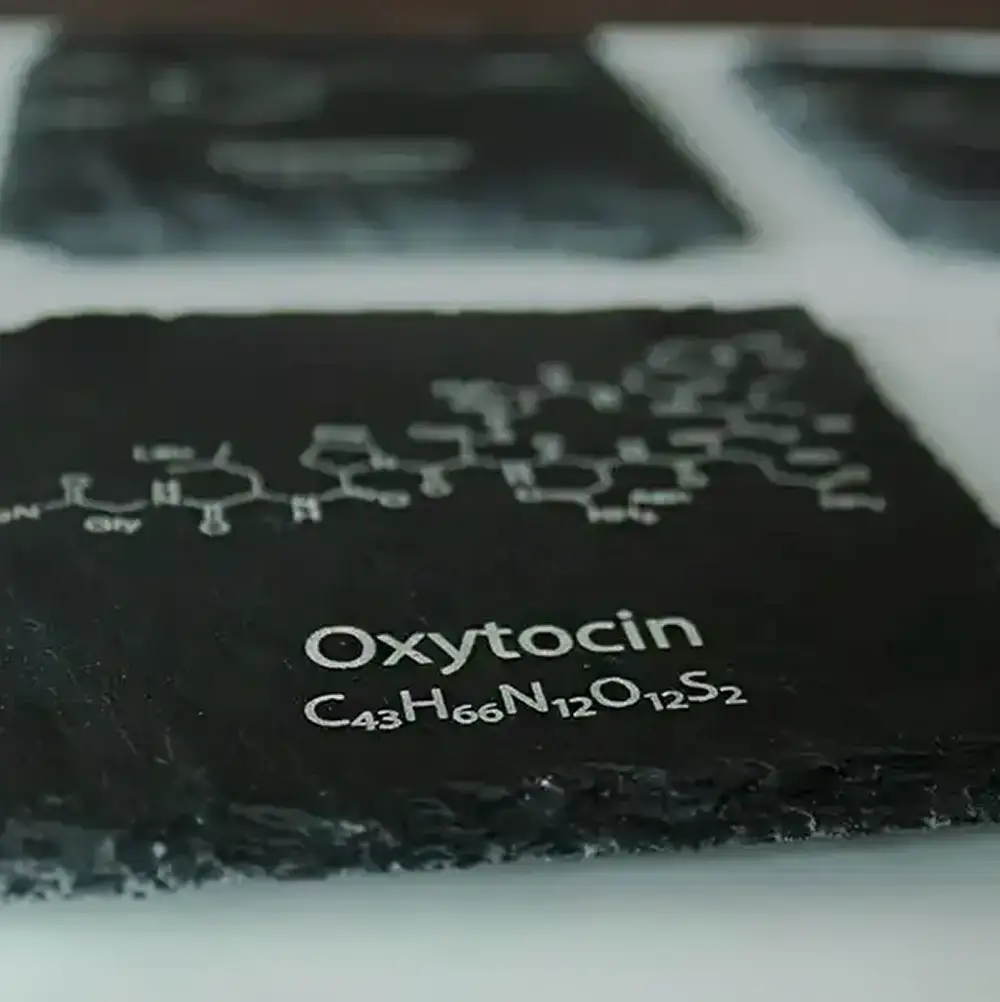 Oxytocin square slate coaster set