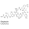 Oxytocin Structure