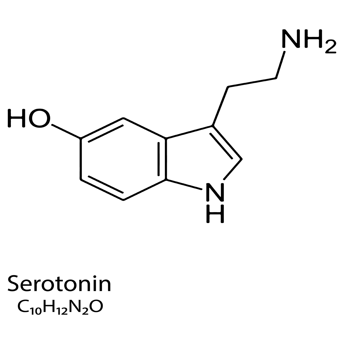 Serotonin structure square